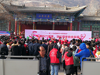 图片12.png